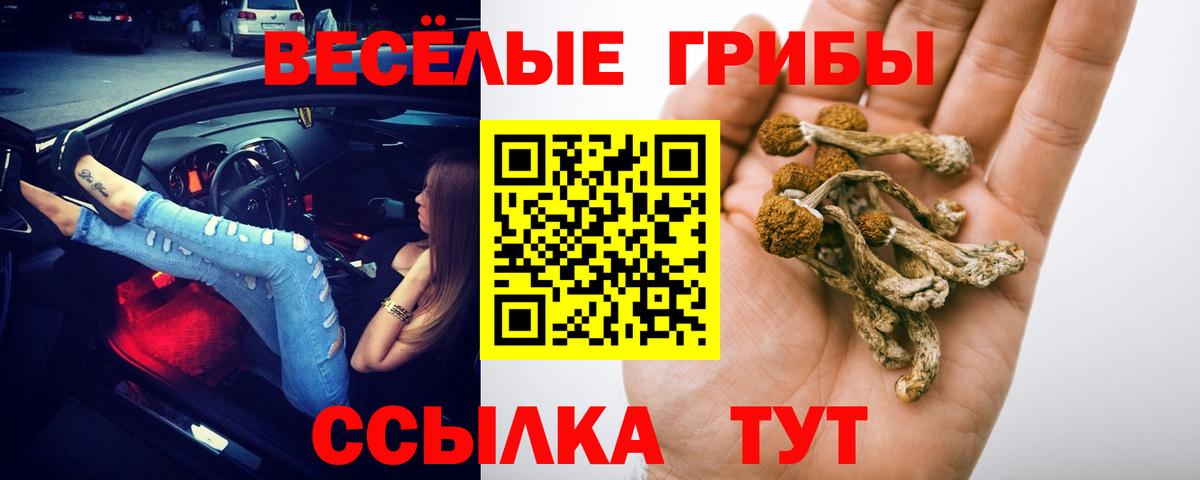 Новороссийск  Галлюциногенные грибы прущие грибы  Вход с VPN 