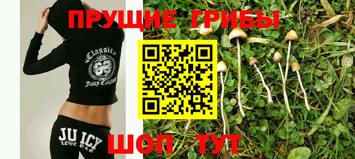 COCAIN Новороссийск
